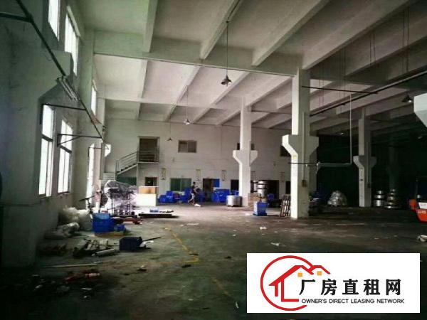  塘厦诸佛岭标准厂房1楼1200平方出租，层高6.5米，带牛角