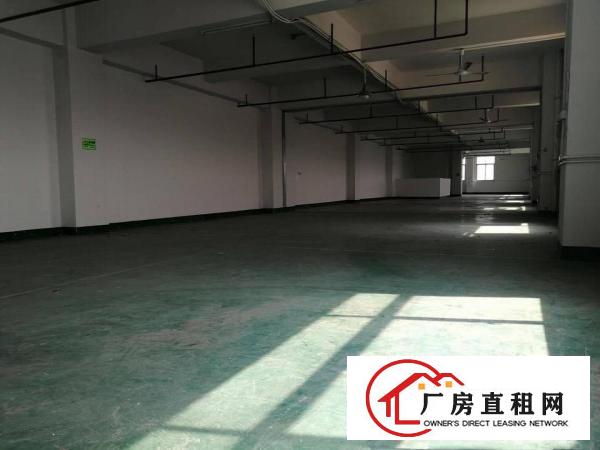  塘厦科苑城工业园楼上300平小面积厂房，现成地坪漆装修
