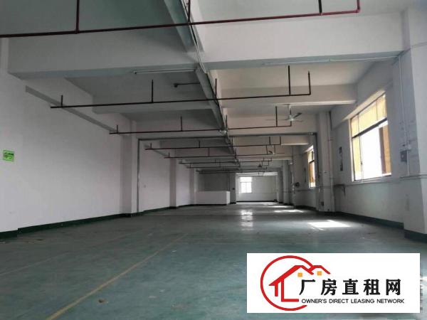  塘厦科苑城工业园楼上300平小面积厂房，现成地坪漆装修