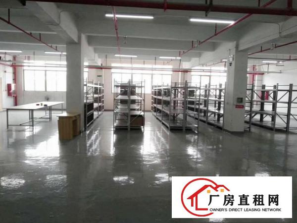  塘厦东深二线原房东独院13000平方！带红本！花园式绿化优美