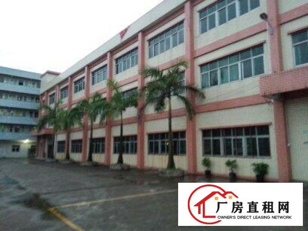  塘厦靠路边工业区厂房分租一楼楼上带办公室装修1000平出
