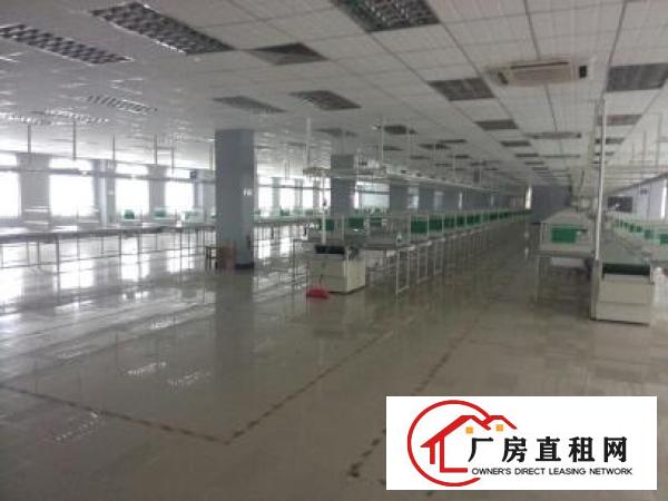  塘厦靠路边工业区厂房分租一楼楼上带办公室装修1000平出