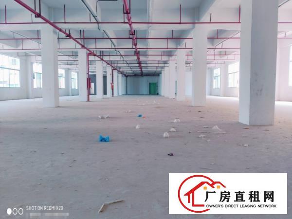  塘厦科苑城新出二楼2600平标准厂房，无公摊价格美丽