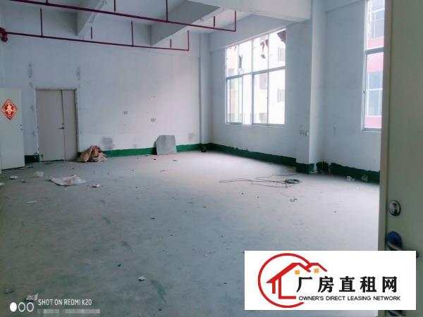  塘厦科苑城新出二楼2600平标准厂房，无公摊价格美丽