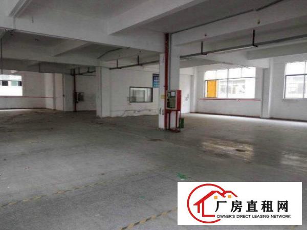  石潭埔一楼厂房600平，带环评证，喷油证，空地大，不限行