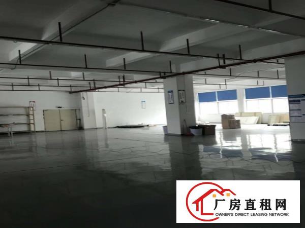  塘厦独门独院标准厂房5030平出租，台湾房东，配置齐全