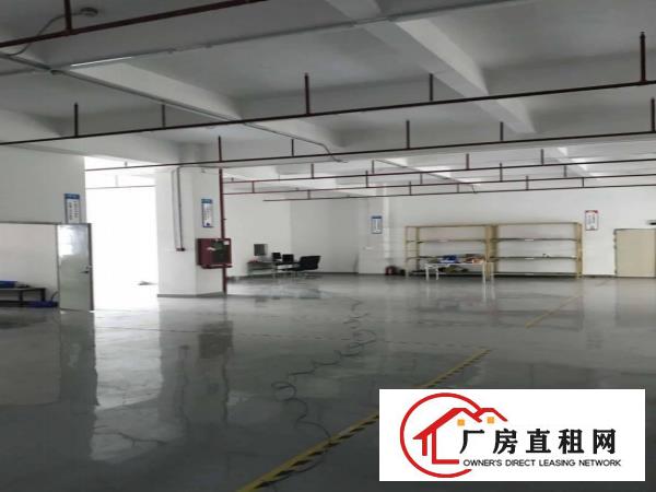  塘厦独门独院标准厂房5030平出租，台湾房东，配置齐全