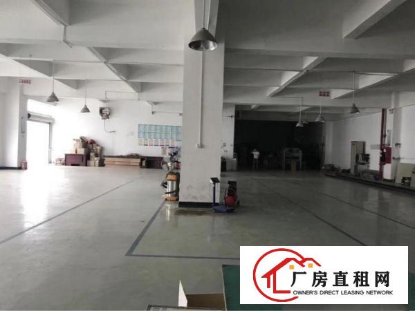  塘厦振兴围小两层独院1550平方！现成主线装修