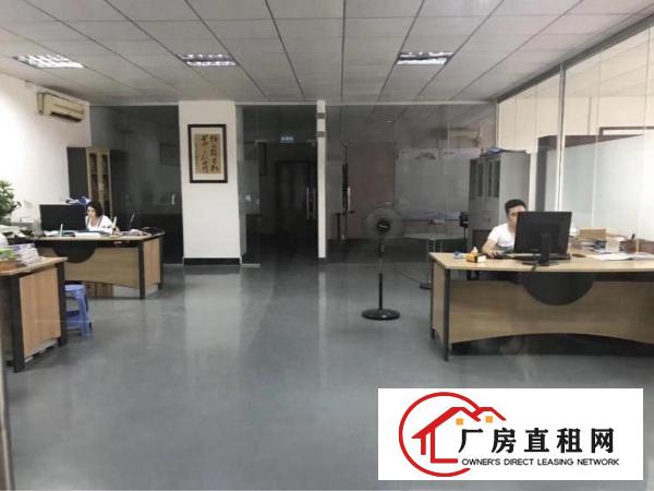  塘厦振兴围小两层独院1550平方！现成主线装修