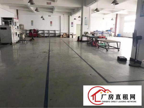  塘厦振兴围小两层独院1550平方！现成主线装修
