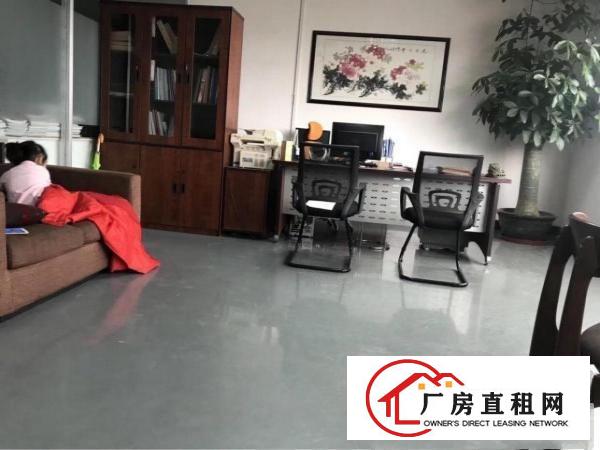  塘厦振兴围小两层独院1550平方！现成主线装修