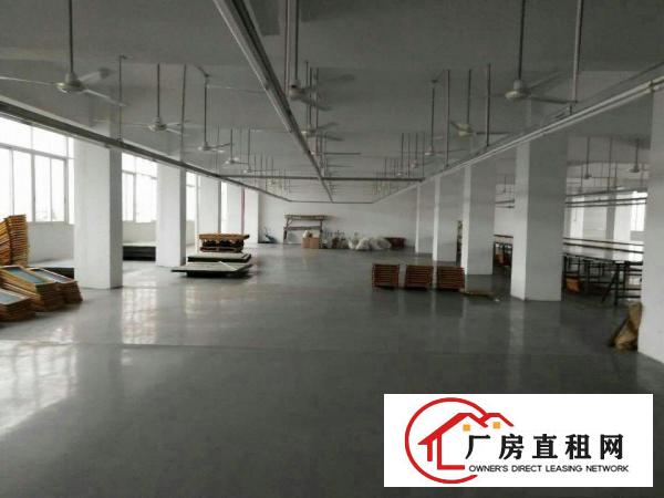  塘厦大坪四黎南路大道独院2楼1100平方！一整层电子车间