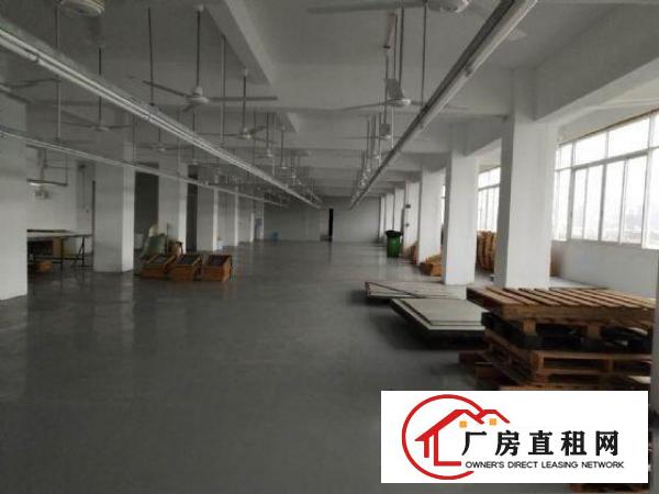  塘厦大坪四黎南路大道独院2楼1100平方！一整层电子车间