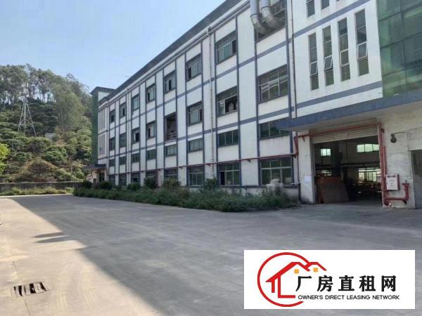  塘厦大坪四黎南路大道独院2楼1100平方！一整层电子车间