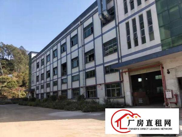  塘厦大坪四黎南路大道独院2楼1100平方！一整层电子车间