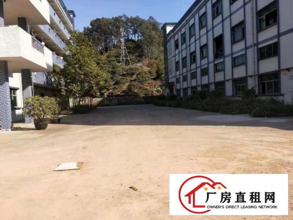  塘厦大坪四黎南路大道独院2楼1100平方！一整层电子车间