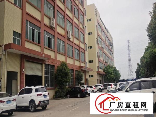  塘厦精装修4楼整层1680平米拎包入住水电齐全