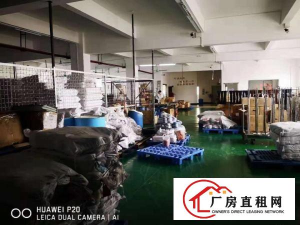  新空出楼盘塘厦镇石鼓1300平方标准厂房带办公室