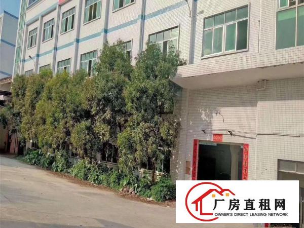  塘厦镇高速路附近超靓标准厂房6250平米出租