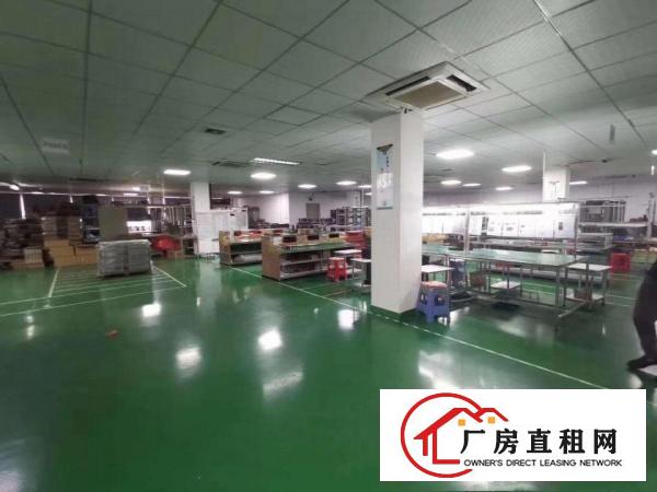  塘厦林村新出原房东独院4700平招租！楼上现成精装修！月底空