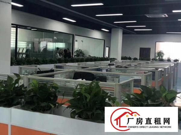  塘厦林村新出原房东独院4700平招租！楼上现成精装修！月底空