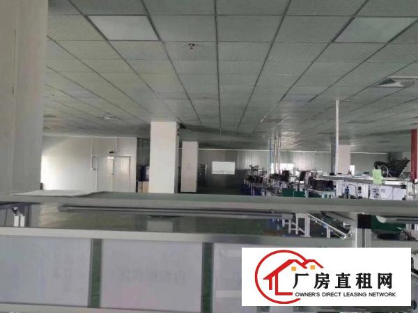  塘厦稀缺精装修楼上厂房1250平方带无尘车间出租
