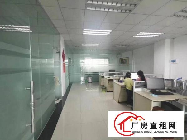  塘厦石鼓新空出楼上400平方，精装修，适合做贸易，电商