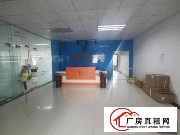 塘厦石鼓新空出楼上400平方，精装修，适合做贸易，电商