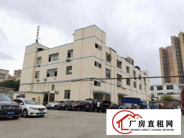  凤岗新空出精装修厂房1700平方招租拎包入住原