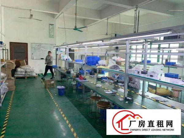  现房带办公室装修，塘厦科苑城楼上850平方房东急租