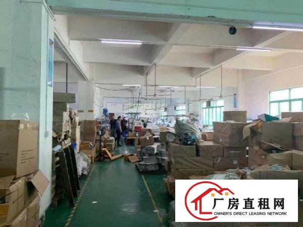  现房带办公室装修，塘厦科苑城楼上850平方房东急租