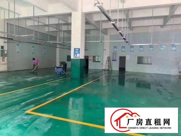  （带环评，空地大）清溪上元原房东厂房出租1200平有无尘车间