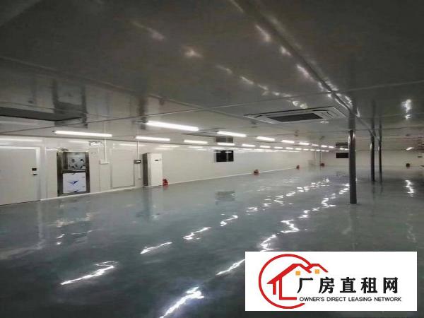  （带环评，空地大）清溪上元原房东厂房出租1200平有无尘车间