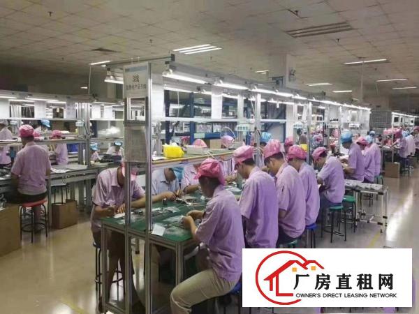  （带环评，空地大）清溪上元原房东厂房出租1200平有无尘车间