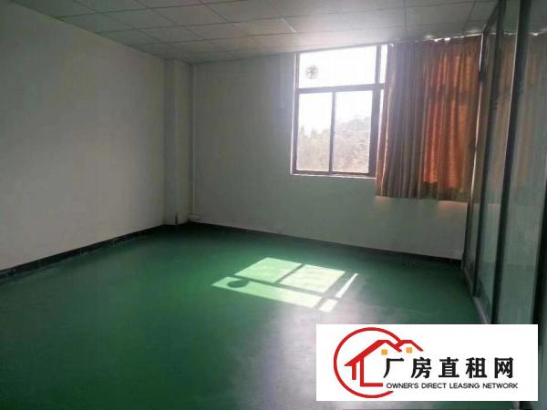  塘厦石谭布标厂现成装修，地坪漆，办公室,450平，拎包入住