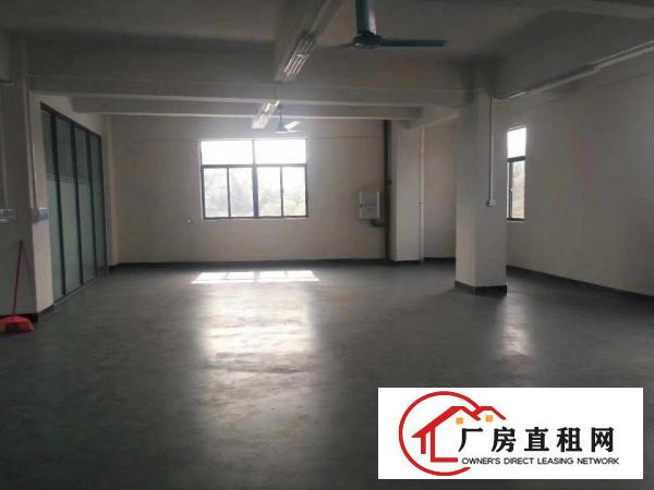  塘厦石谭布标厂现成装修，地坪漆，办公室,450平，拎包入住