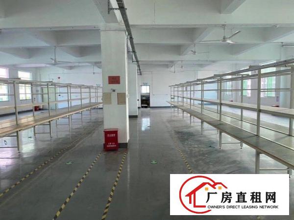  黄江工业区新出850平方厂房出租带装修拎包入驻