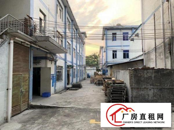  黄江工业区新出850平方厂房出租带装修拎包入驻