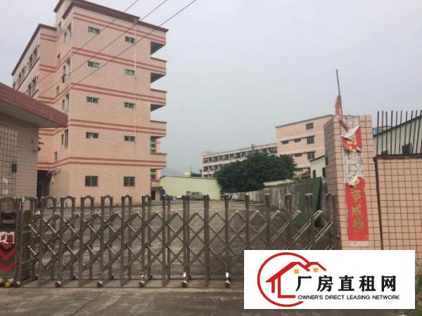  塘厦田心工业区标准2楼800平方！现成格局装修