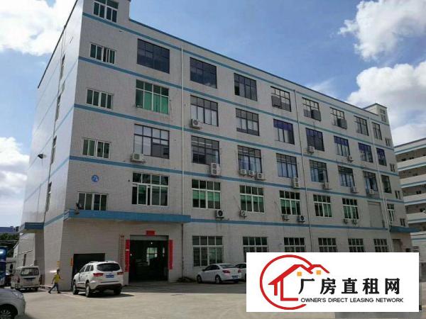  塘厦蛟平山独院标准1楼400平方！现成主线！可装峰谷表