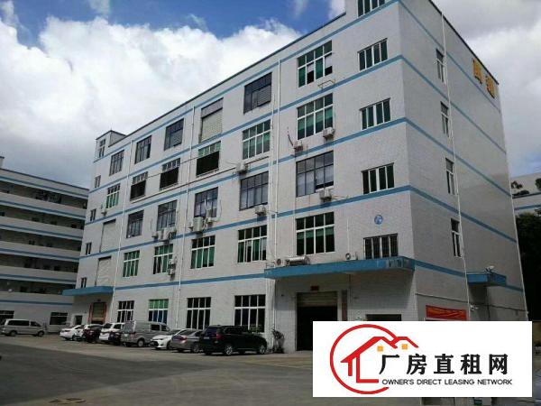  塘厦蛟平山独院标准1楼400平方！现成主线！可装峰谷表