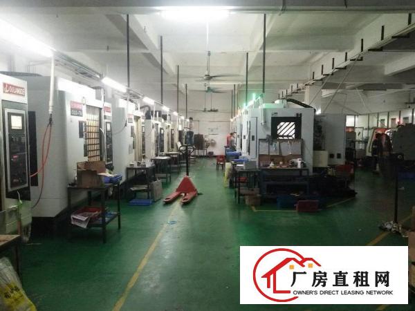  原房东无公摊东莞市塘厦镇大坪新出一楼1200平米厂房出租