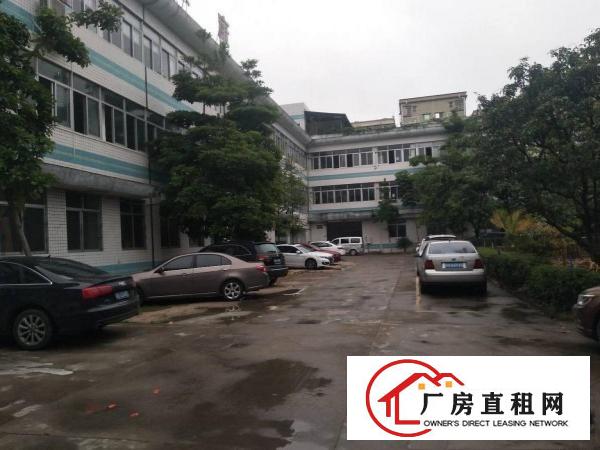  原房东无公摊东莞市塘厦镇大坪新出一楼1200平米厂房出租