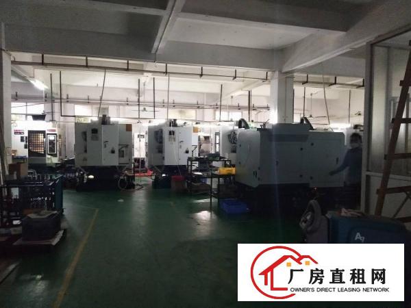  原房东无公摊东莞市塘厦镇大坪新出一楼1200平米厂房出租
