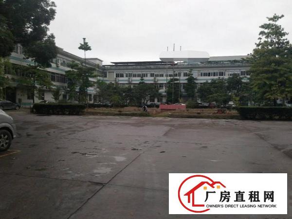  原房东无公摊东莞市塘厦镇大坪新出一楼1200平米厂房出租