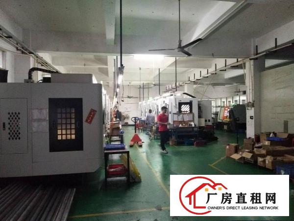  原房东无公摊东莞市塘厦镇大坪新出一楼1200平米厂房出租