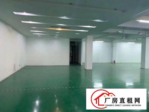  塘厦龙背岭新出原房东厂房800平，现成无尘车间