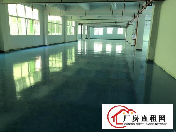  靠深圳3楼1300平！全新装修无公摊只租15
