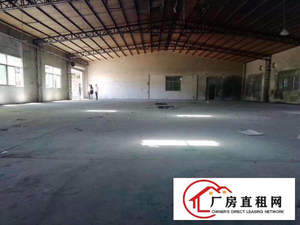  塘厦田心新出钢构独院1400平，滴水6米，微偏可噪音粉尘污染