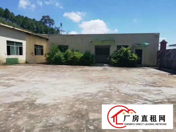  塘厦田心新出钢构独院1400平，滴水6米，微偏可噪音粉尘污染